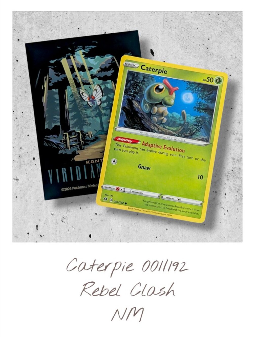 Rebel Clash Pokemon Card (W01): Caterpie 001/192